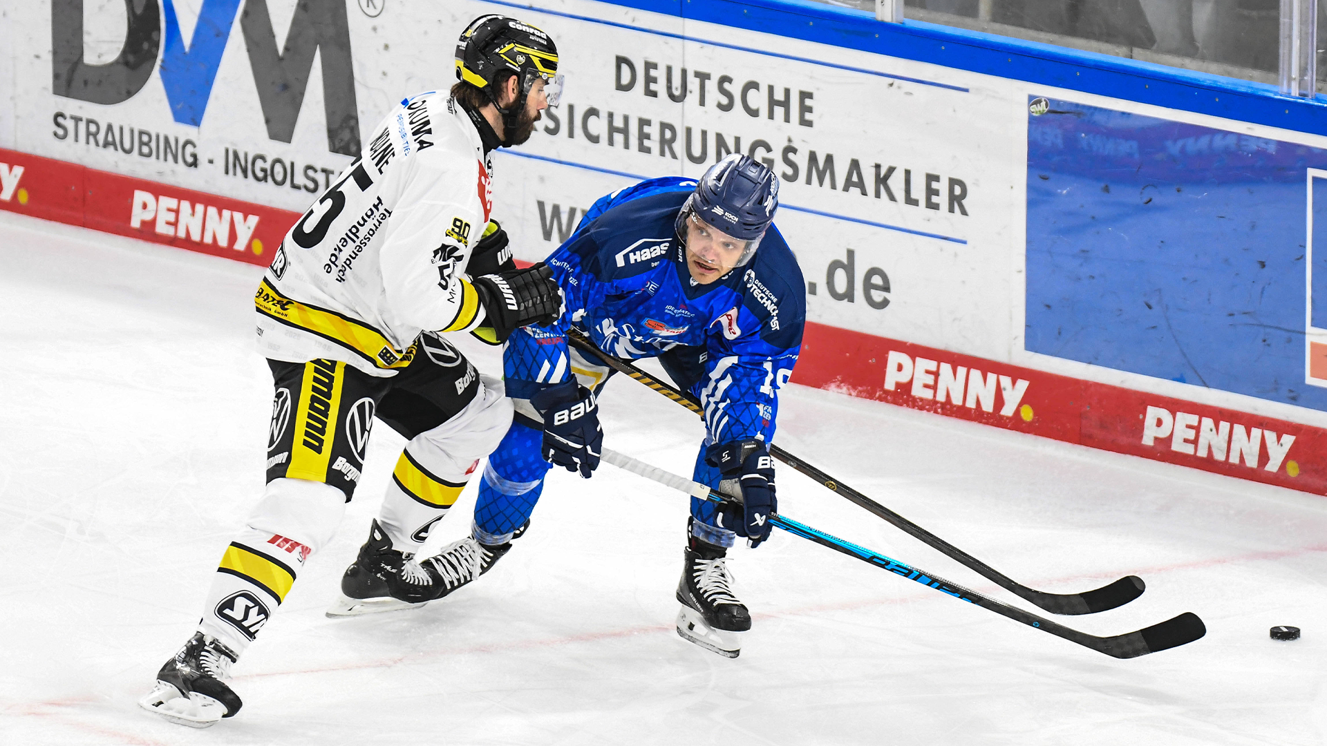 Straubing Tigers gg. Krefeld Pinguine